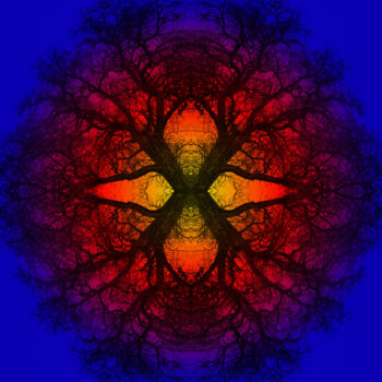 Digitale Kunst getiteld "Mandala # 4" door Franz Hümpfner, Origineel Kunstwerk, Digitale fotografie Gemonteerd op Aluminium