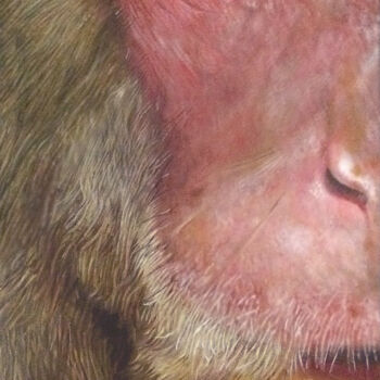 Painting titled "macaque" by Franzart, Original Artwork, Oil