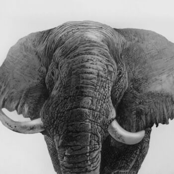 Tekening getiteld "elephant - quick sc…" door Franzart, Origineel Kunstwerk, Potlood