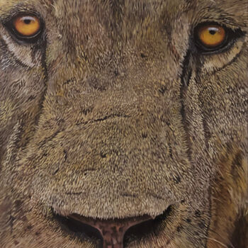 Painting titled "Lion Male" by Franzart, Original Artwork, Oil
