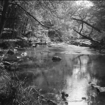 Fotografía titulada "River Auvezere" por Frédéric Duchesnay, Obra de arte original, Fotografía analógica