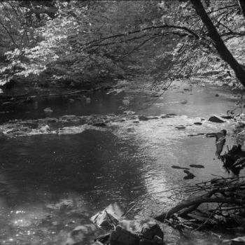 Photography titled "River" by Frédéric Duchesnay, Original Artwork, Analog photography