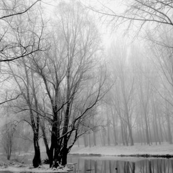 Photography titled "marais" by Frédéric Duchesnay, Original Artwork, Analog photography