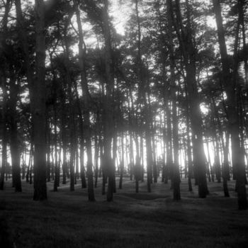 Photographie intitulée "Lumière" par Frédéric Duchesnay, Œuvre d'art originale, Photographie argentique