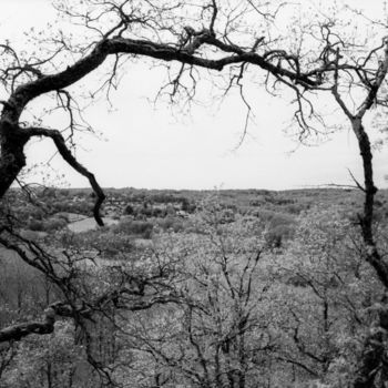 Photographie intitulée "Vielles branches" par Frédéric Duchesnay, Œuvre d'art originale, Photographie argentique