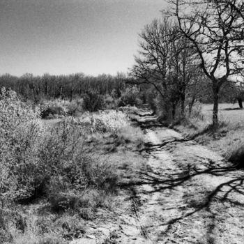 Photography titled "Chemin de campagne" by Frédéric Duchesnay, Original Artwork, Analog photography