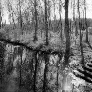 Photographie intitulée "Escalier dans l'eau." par Frédéric Duchesnay, Œuvre d'art originale, Photographie argentique