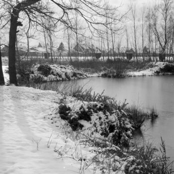 "La lande(2)" başlıklı Fotoğraf Frédéric Duchesnay tarafından, Orijinal sanat, Analog Fotoğrafçılık