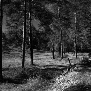 Fotografie getiteld "Chemin du causse" door Frédéric Duchesnay, Origineel Kunstwerk, Film fotografie