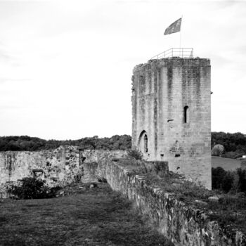 Fotografia zatytułowany „Vieux donjon” autorstwa Frédéric Duchesnay, Oryginalna praca, Fotografia filmowa