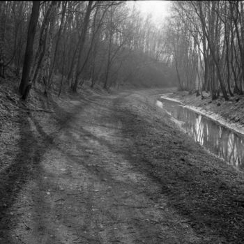 Photography titled "le chemin" by Frédéric Duchesnay, Original Artwork, Analog photography