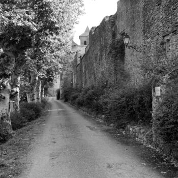 Fotografia intitolato "Camon" da Frédéric Duchesnay, Opera d'arte originale, fotografia a pellicola