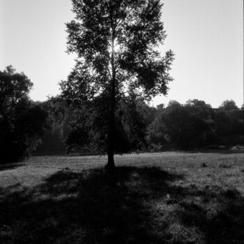 Photographie intitulée "Silhouette" par Frédéric Duchesnay, Œuvre d'art originale, Photographie argentique