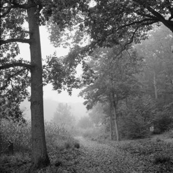 Fotografie getiteld "L'automne" door Frédéric Duchesnay, Origineel Kunstwerk, Film fotografie