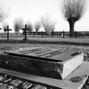 Photographie intitulée "plaque" par Frédéric Duchesnay, Œuvre d'art originale, Photographie argentique