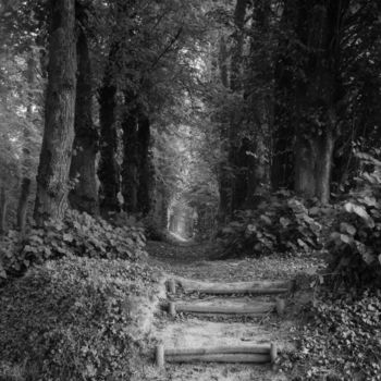 Photography titled "Le sentier" by Frédéric Duchesnay, Original Artwork, Analog photography