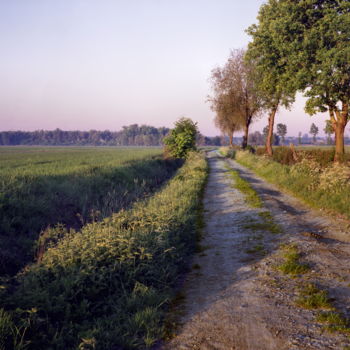 摄影 标题为“Chemin de terre” 由Frédéric Duchesnay, 原创艺术品, 电影摄影