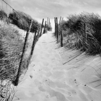 Fotografía titulada "Dune" por Frédéric Duchesnay, Obra de arte original, Fotografía analógica