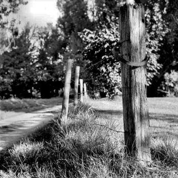 Photographie intitulée "Cloture" par Frédéric Duchesnay, Œuvre d'art originale, Photographie argentique