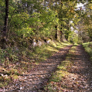 Photography titled "Chemin d'automne." by Frédéric Duchesnay, Original Artwork, Analog photography