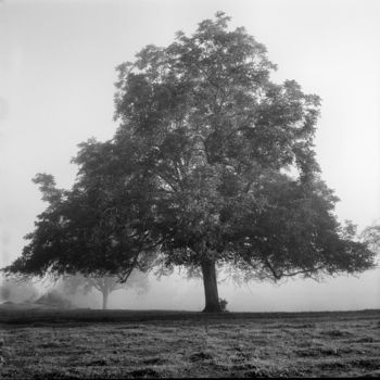 Fotografie mit dem Titel "Le solitaire" von Frédéric Duchesnay, Original-Kunstwerk, Analog Fotografie