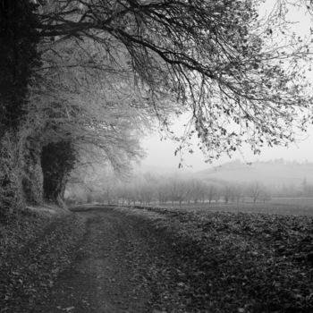 Fotografie getiteld "Chemin givré" door Frédéric Duchesnay, Origineel Kunstwerk, Film fotografie