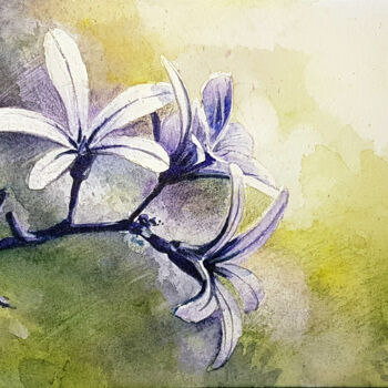 Pintura intitulada "Fleur 005.jpg" por Frédéric Berrin, Obras de arte originais, Aquarela