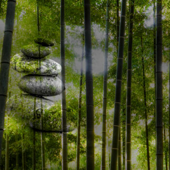 "Bambou Zen" başlıklı Fotoğraf Frederic Bos tarafından, Orijinal sanat, Foto Montaj