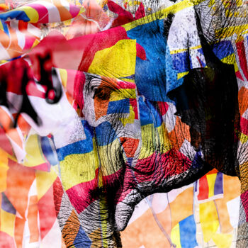 Photographie intitulée "Sri lanka Elephant" par Frederic Bos, Œuvre d'art originale, Photographie manipulée