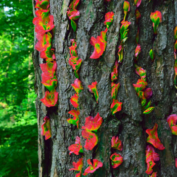 Fotografía titulada "LANDART 06" por Frédéric Didillon, Obra de arte original, Fotografía digital