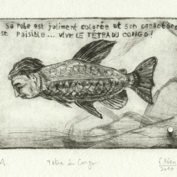 Dessin intitulée "Tétra du Congo." par Frhégo, Œuvre d'art originale, Autre