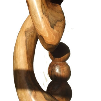 Skulptur mit dem Titel "Mémoire d'arbre" von Frédéric Boiron, Original-Kunstwerk, Holz