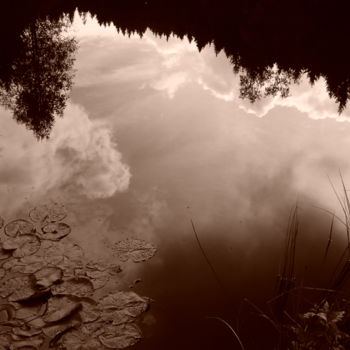 제목이 "Reflets nuages sépia"인 사진 Frédérique Vallee로, 원작, 조작되지 않은 사진