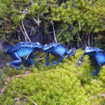 Photography titled "Grenouilles bleues" by Frédérique Ziolko, Original Artwork