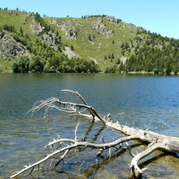 Photography titled "Lac des Pyrénées" by Frédérique Ziolko, Original Artwork