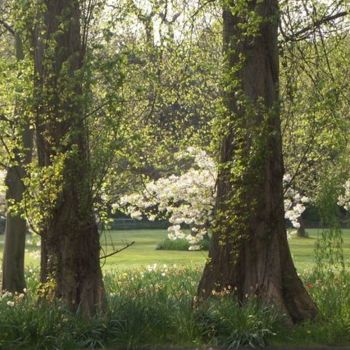 Fotografie getiteld "Cambridge au bord d…" door Frédérique Ziolko, Origineel Kunstwerk