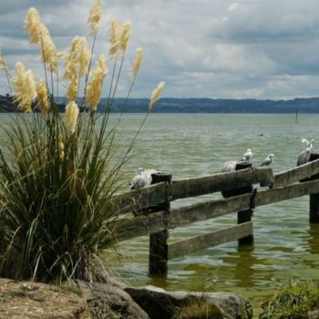 Фотография под названием "Lake Rotorua" - Frédérique Ziolko, Подлинное произведение искусства
