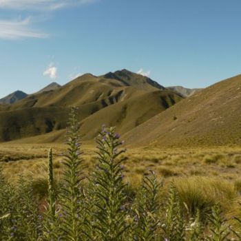 Fotografía titulada "Linds Pass" por Frédérique Ziolko, Obra de arte original