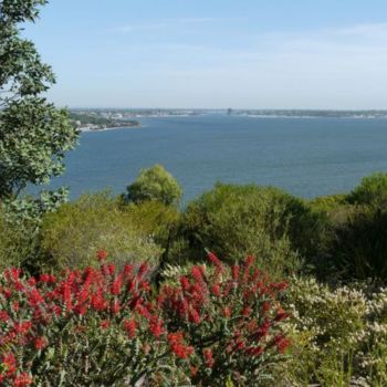 Photographie intitulée "Perth, Botanic gard…" par Frédérique Ziolko, Œuvre d'art originale