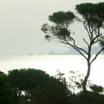 Photographie intitulée "Giens, Var" par Frédérique Ziolko, Œuvre d'art originale