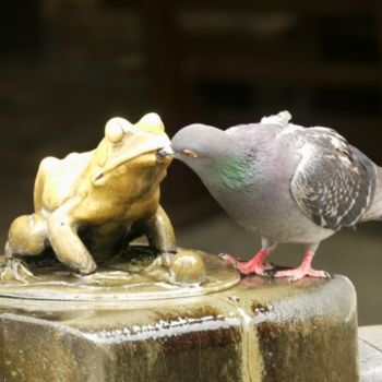 Photography titled "Fontaine Rynek Star…" by Frédérique Ziolko, Original Artwork