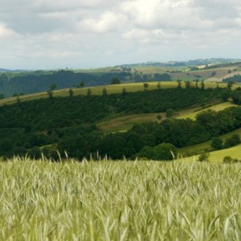 Photography titled "Entre ciel et blé" by Frédérique Ziolko, Original Artwork