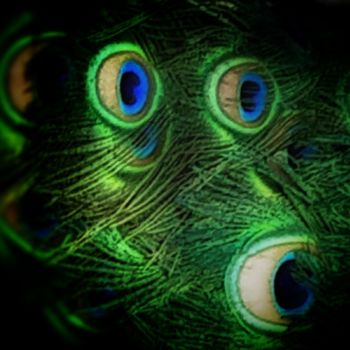 Photographie intitulée "Peacock face" par Fred Goldzak, Œuvre d'art originale