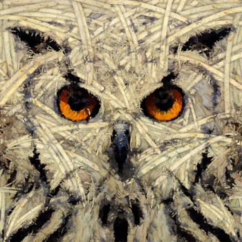 Digitale Kunst getiteld "Owl Out Of Woods 1" door Frédéric Durieu & Nathalie Erin, Origineel Kunstwerk, 2D Digital Work Gemo…