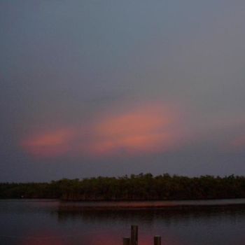 「Sunset in Everglade…」というタイトルの写真撮影 Kathleen Reillyによって, オリジナルのアートワーク