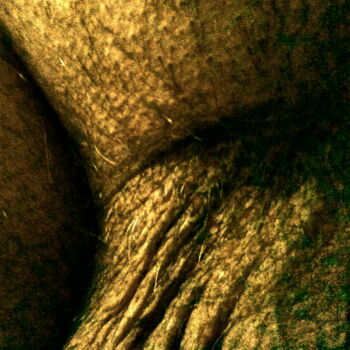 Photography titled "pachyderm" by Friedrich Ursprung, Original Artwork, Digital Photography