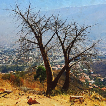 Printmaking titled "Árvore do Cristo de…" by Gabo Gussen, Original Artwork, Digital Painting