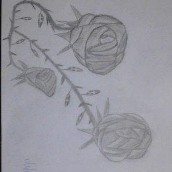 Drawing titled "roses" by Gabriel Seeraj, Original Artwork