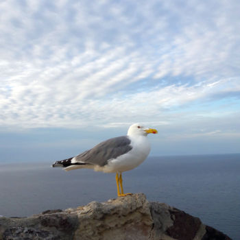 Photography titled "Proud" by Gabriel Zen, Original Artwork