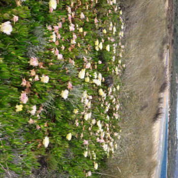Photography titled "Flowers and Sea" by Gabriel Zen, Original Artwork